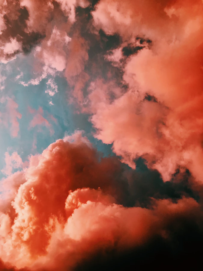 Le corail élu couleur 2019
