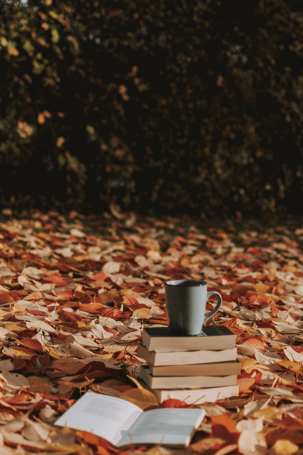 Les lectures cocooning de l'automne-hiver 