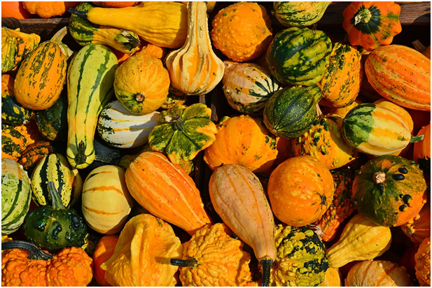 aliments courges