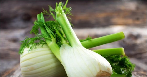 aliments fenouil 