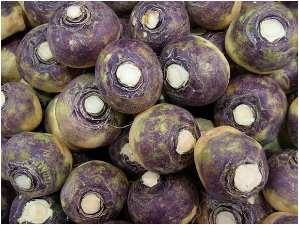 aliments rutabaga