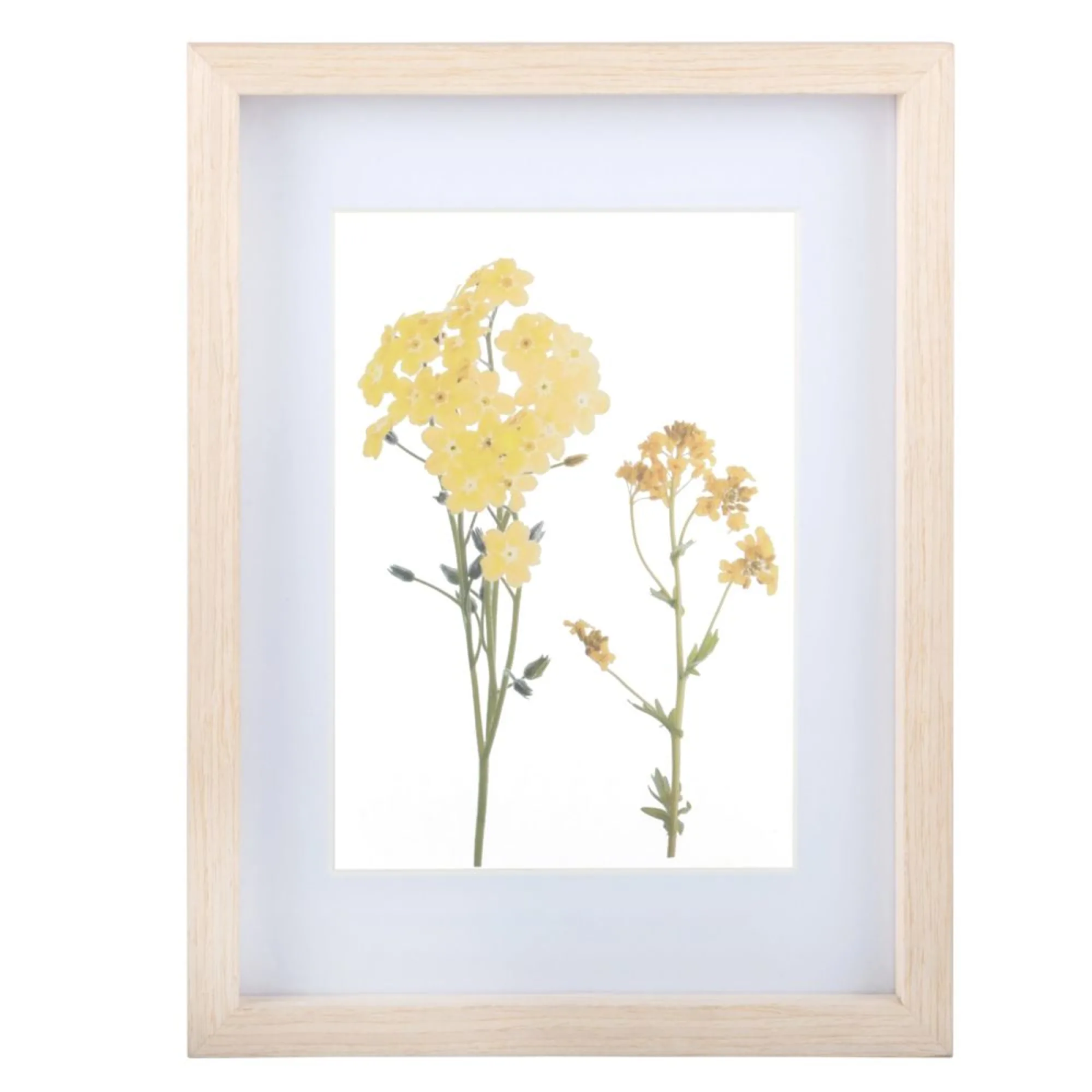 tableau de fleurs s&eacute;ch&eacute;es