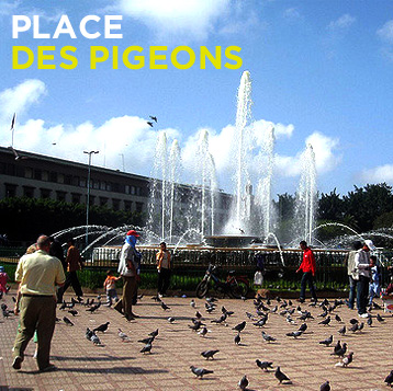 Place des pigeons